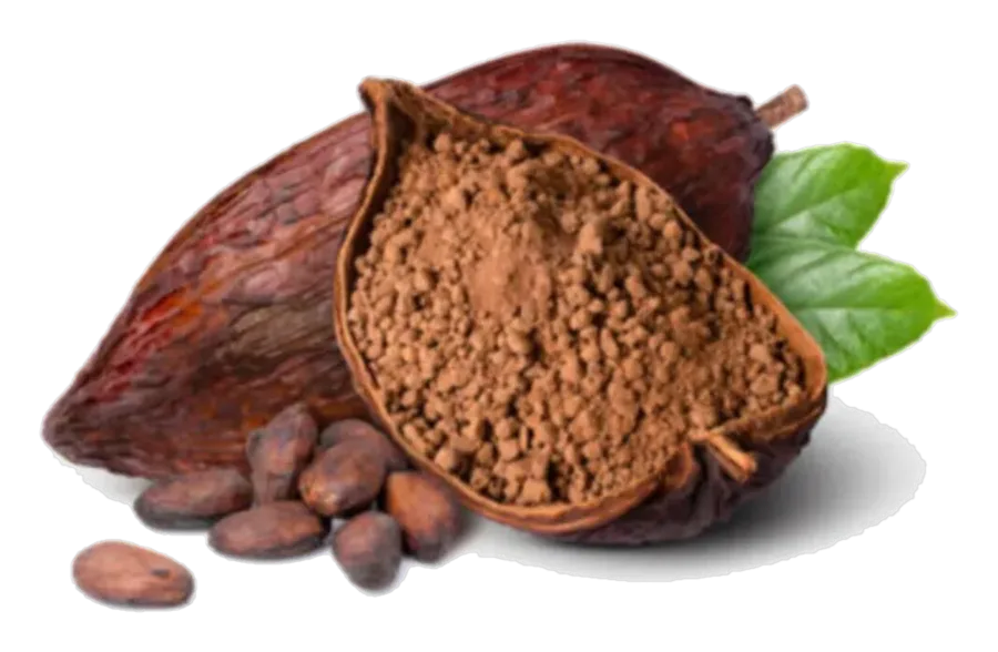 Gam's Bisquits Cacao 100 g