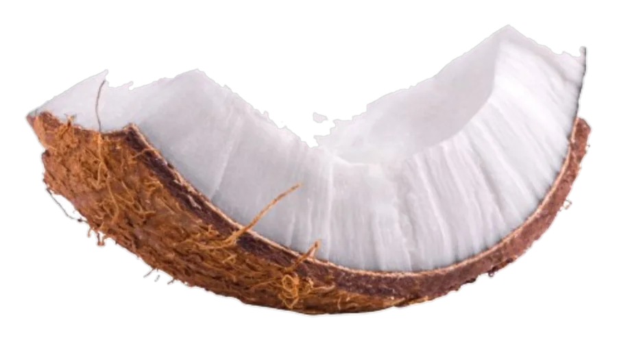 Gam's Baton proteic Extra-Soft Cocos 40 g